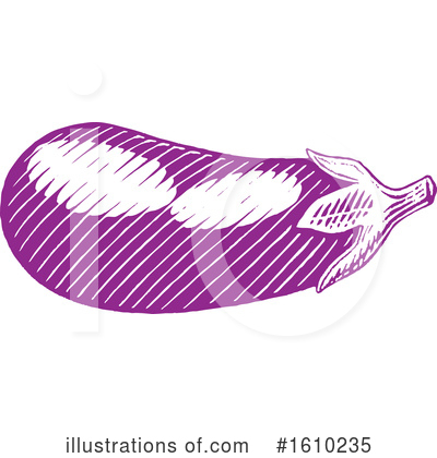 Eggplant Clipart #1610235 by cidepix