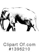Elephant Clipart #1396210 by dero