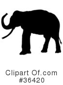 Elephant Clipart #36420 by dero