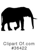 Elephant Clipart #36422 by dero