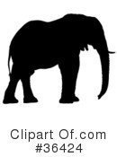 Elephant Clipart #36424 by dero