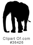 Elephant Clipart #36426 by dero