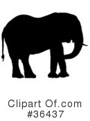 Elephant Clipart #36437 by dero