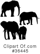 Elephant Clipart #36445 by dero