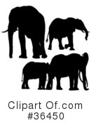 Elephant Clipart #36450 by dero