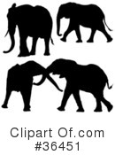 Elephant Clipart #36451 by dero