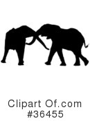 Elephant Clipart #36455 by dero