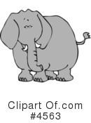 Elephant Clipart #4563 by djart