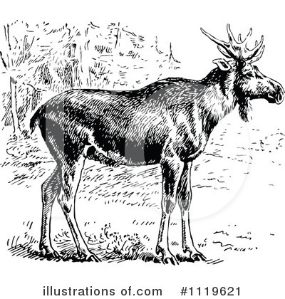 Elk Clipart #1119621 by Prawny Vintage