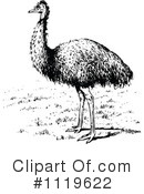 Emu Clipart #1119622 by Prawny Vintage