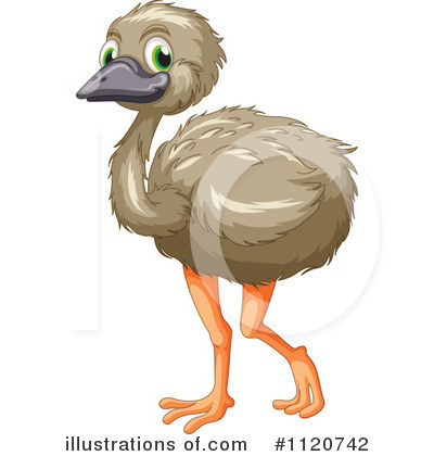 Emu Clipart #1120742 - Illustration by Graphics RF