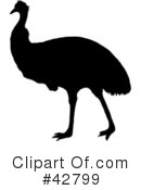 Emu Clipart #42799 by Dennis Holmes Designs