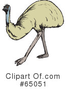 Emu Clipart #65051 by Dennis Holmes Designs