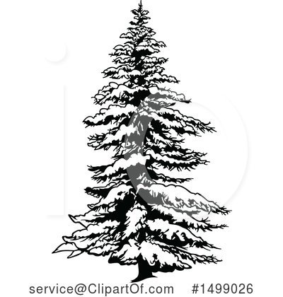Royalty-Free (RF) Evergreen Clipart Illustration by dero - Stock Sample #1499026