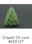 Evergreen Clipart #229127 by chrisroll