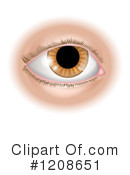 Eye Clipart #1208651 by AtStockIllustration