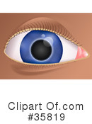 Eye Clipart #35819 by Prawny
