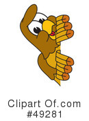 Falcon Character Clipart #49281 by Mascot Junction