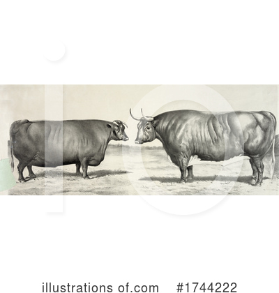 Cattle Clipart #1744222 by JVPD