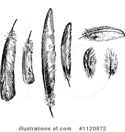 Royalty-Free (RF) Feather Clipart Illustration by Prawny Vintage - Stock Sample #1120872