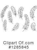 Feather Clipart #1285845 by Vector Tradition SM