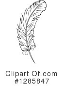 Feather Clipart #1285847 by Vector Tradition SM