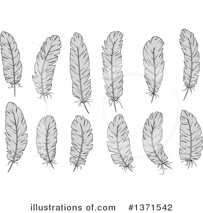 Royalty-Free (RF) Feather Clipart Illustration by Vector Tradition SM - Stock Sample #1371542