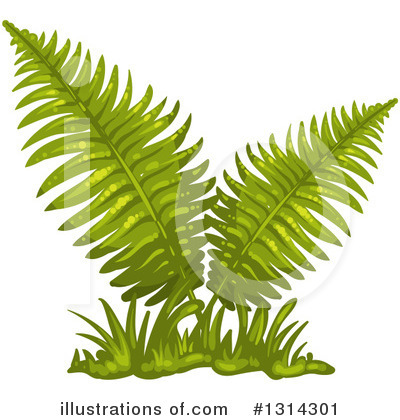 Ferns Clipart #1314301 by merlinul