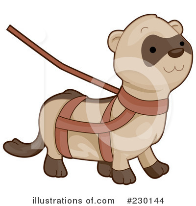 Ferret Clipart #230144 by BNP Design Studio