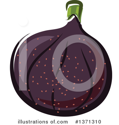 Fig Clipart #1371310 by Vector Tradition SM