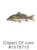 Fish Clipart #1076713 by JVPD