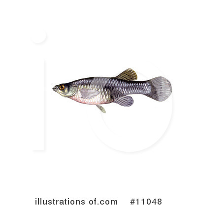 Royalty-Free (RF) Fish Clipart Illustration by JVPD - Stock Sample #11048