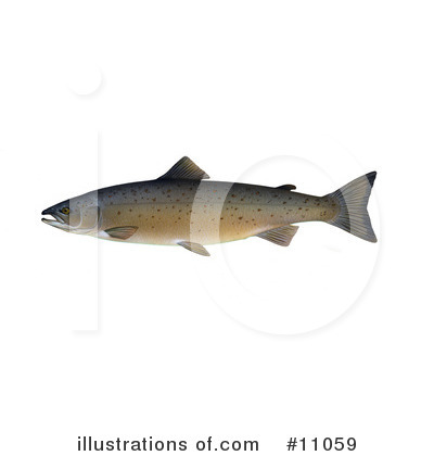 Royalty-Free (RF) Fish Clipart Illustration by JVPD - Stock Sample #11059