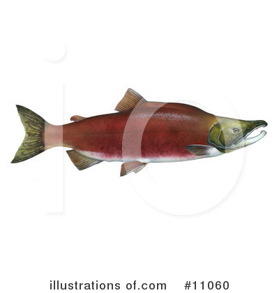 Royalty-Free (RF) Fish Clipart Illustration by JVPD - Stock Sample #11060