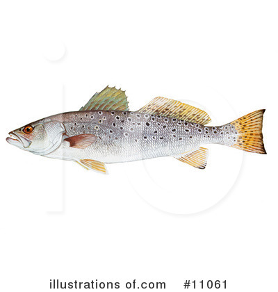 Royalty-Free (RF) Fish Clipart Illustration by JVPD - Stock Sample #11061