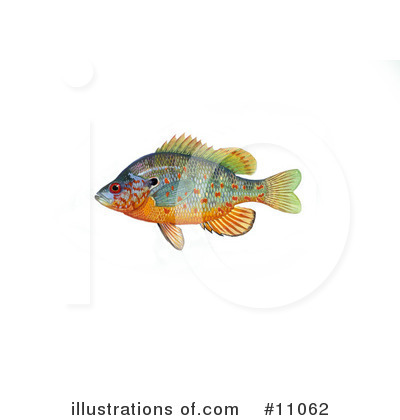 Royalty-Free (RF) Fish Clipart Illustration by JVPD - Stock Sample #11062