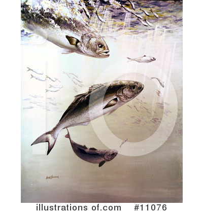 Royalty-Free (RF) Fish Clipart Illustration by JVPD - Stock Sample #11076