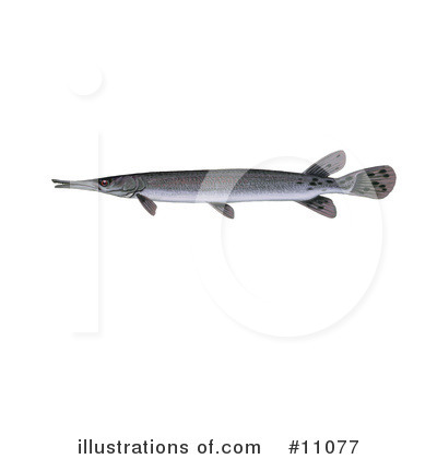 Royalty-Free (RF) Fish Clipart Illustration by JVPD - Stock Sample #11077