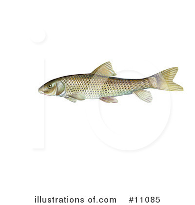 Royalty-Free (RF) Fish Clipart Illustration by JVPD - Stock Sample #11085