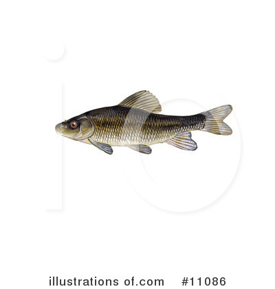 Royalty-Free (RF) Fish Clipart Illustration by JVPD - Stock Sample #11086