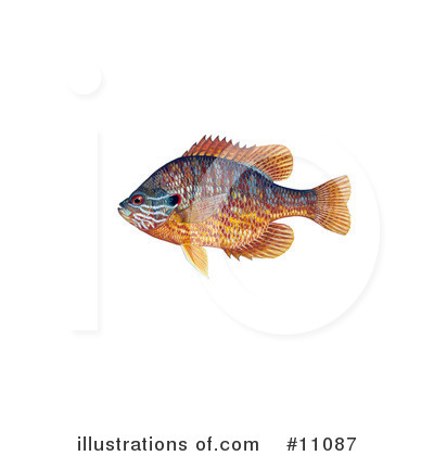 Royalty-Free (RF) Fish Clipart Illustration by JVPD - Stock Sample #11087