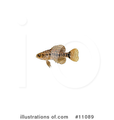 Royalty-Free (RF) Fish Clipart Illustration by JVPD - Stock Sample #11089
