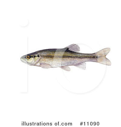 Royalty-Free (RF) Fish Clipart Illustration by JVPD - Stock Sample #11090