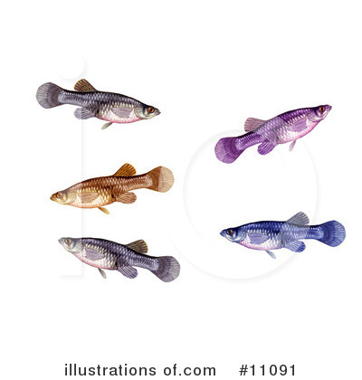 Royalty-Free (RF) Fish Clipart Illustration by JVPD - Stock Sample #11091