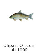 Fish Clipart #11092 by JVPD