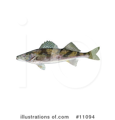 Royalty-Free (RF) Fish Clipart Illustration by JVPD - Stock Sample #11094