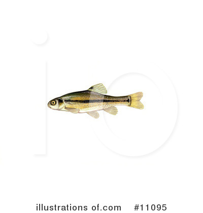 Royalty-Free (RF) Fish Clipart Illustration by JVPD - Stock Sample #11095