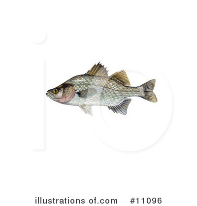 Royalty-Free (RF) Fish Clipart Illustration by JVPD - Stock Sample #11096