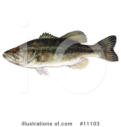 Royalty-Free (RF) Fish Clipart Illustration by JVPD - Stock Sample #11103