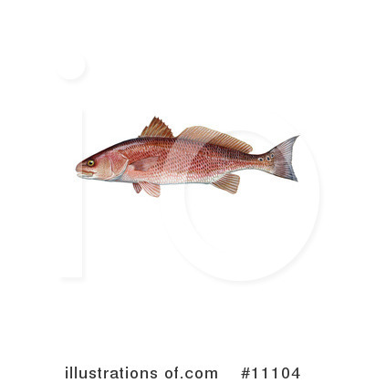 Royalty-Free (RF) Fish Clipart Illustration by JVPD - Stock Sample #11104